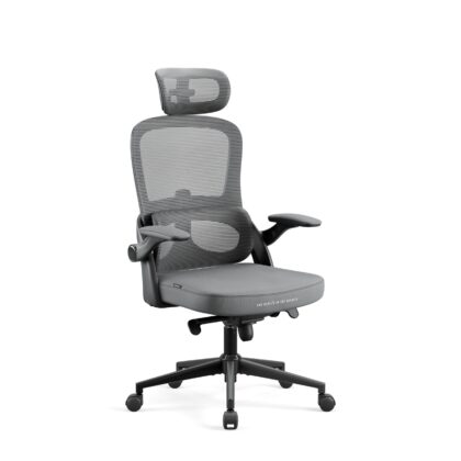 Fotel biurowy, ergonomiczny Diablo V-Light, szary
