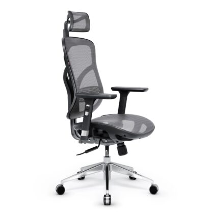Fotel ergonomiczny Diablo V-Basic, czarno-szary