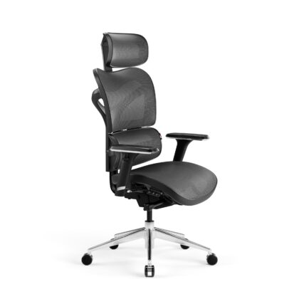 Fotel ergonomiczny Diablo V-Commander, czarno-szary